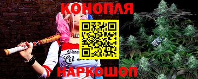 трава Пугачёв