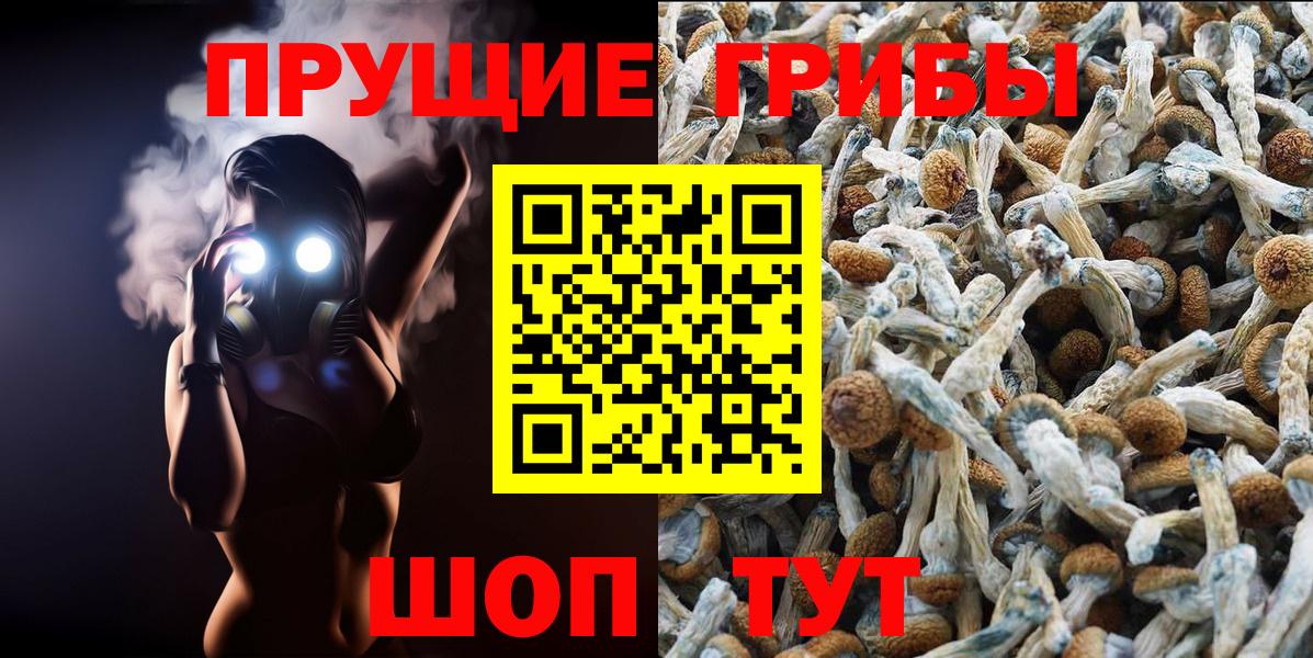 Галлюциногенные грибы Psilocybe  Вход с VPN  Новороссийск  Галлюциногенные грибы Magic Shrooms 
