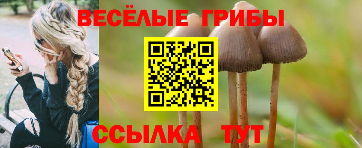 Псилоцибиновые грибы MAGIC MUSHROOMS Новороссийск